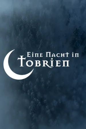 Der Rollenspieler bespricht – Eine Nacht in Tobrien